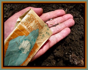 We have been given the seed of Eternal life